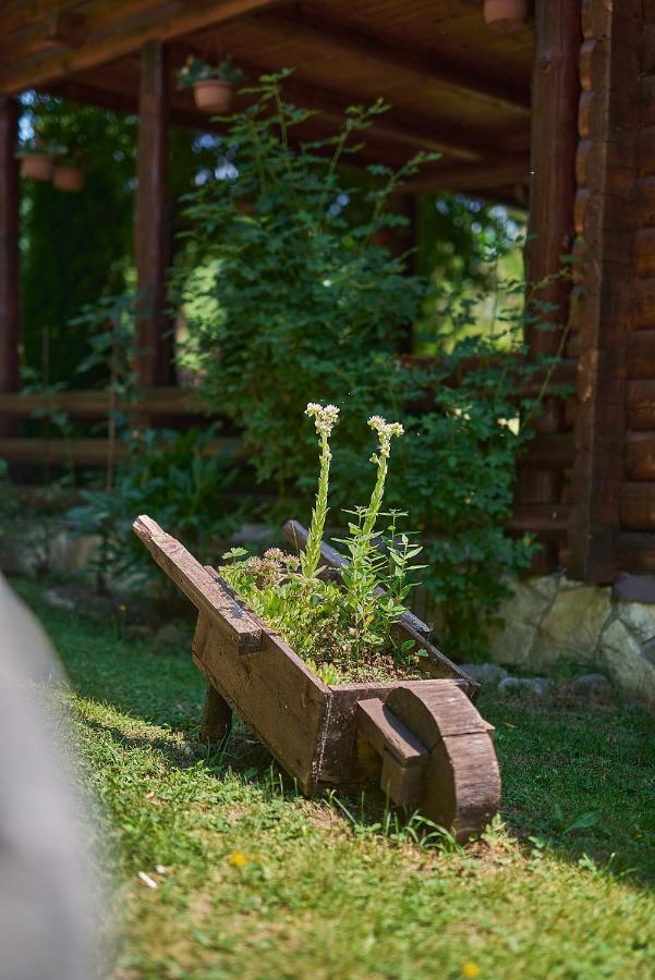 Brijest Country house